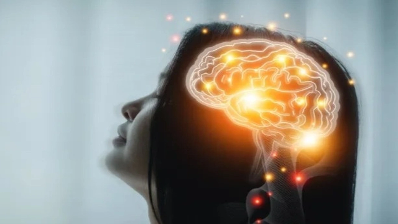 نتائج مذهلة تظهر على الدماغ بعد تجربة 14 يوماً بلا هاتف ذكي